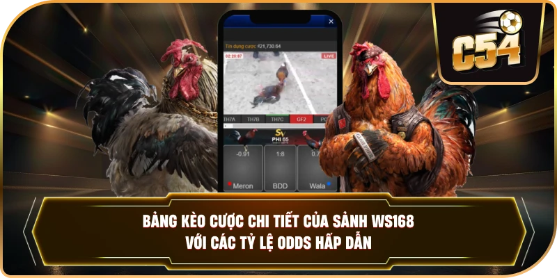 Bảng kèo cược chi tiết của sảnh WS168 với các tỷ lệ Odds hấp dẫn