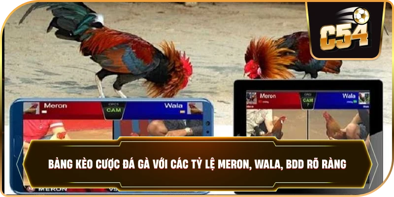 Bảng kèo cược đá gà với các tỷ lệ Meron, Wala, BDD rõ ràng