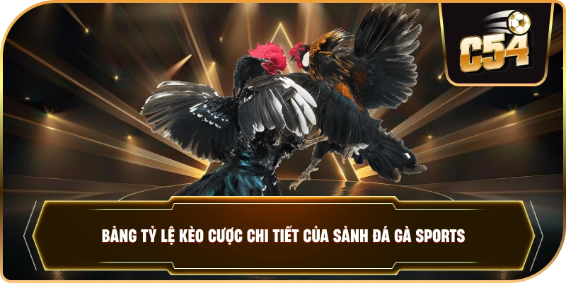 Bảng tỷ lệ kèo cược chi tiết của sảnh ĐÁ GÀ SPORTS