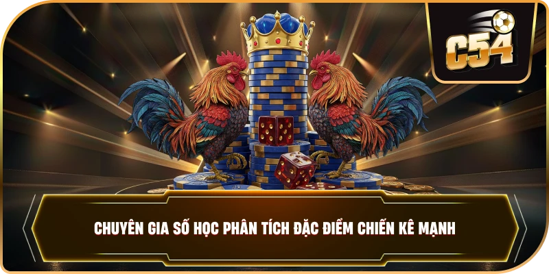 Chuyên gia số học phân tích đặc điểm chiến kê mạnh