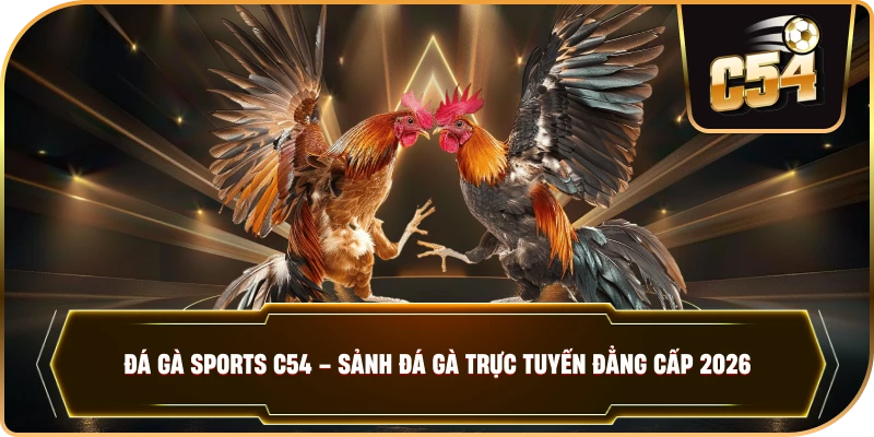 ĐÁ GÀ SPORTS – Sảnh Cược Kê Chiến Đỉnh Cao Tại Nhà Cái C54