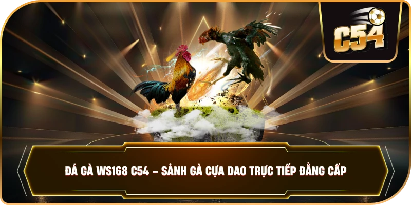 ĐÁ GÀ WS168 – Đỉnh Cao Kê Trường Cựa Dao Trực Tuyến Tại C54