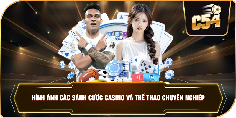 Hình ảnh các sảnh cược casino và thể thao chuyên nghiệp. .