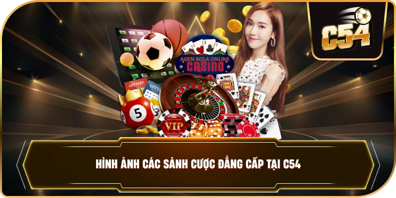 Hình ảnh các sảnh cược đẳng cấp tại C54. 